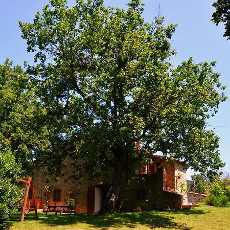 Il Venaio Bed & Breakfast Massa Marittima Dış mekan fotoğraf