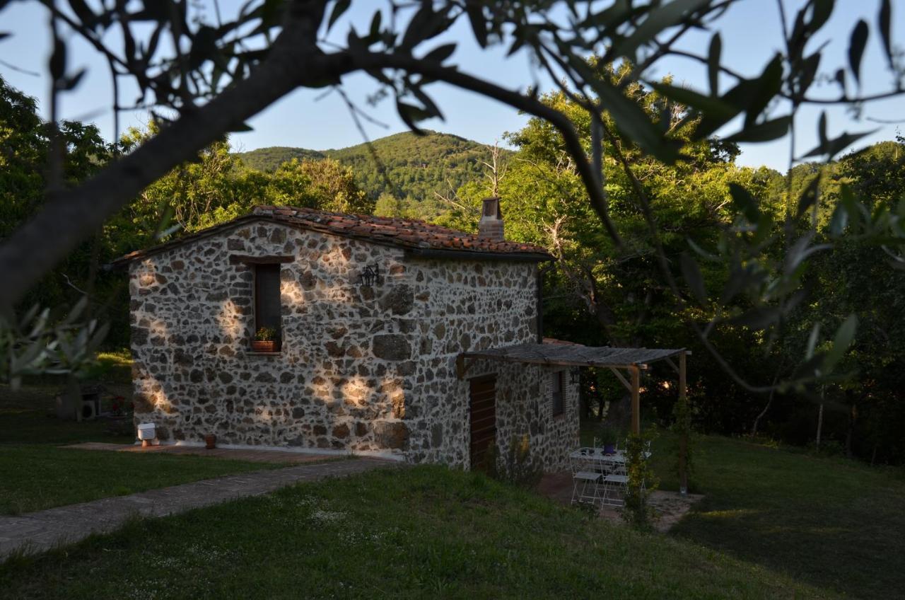 Il Venaio Bed & Breakfast Massa Marittima Dış mekan fotoğraf