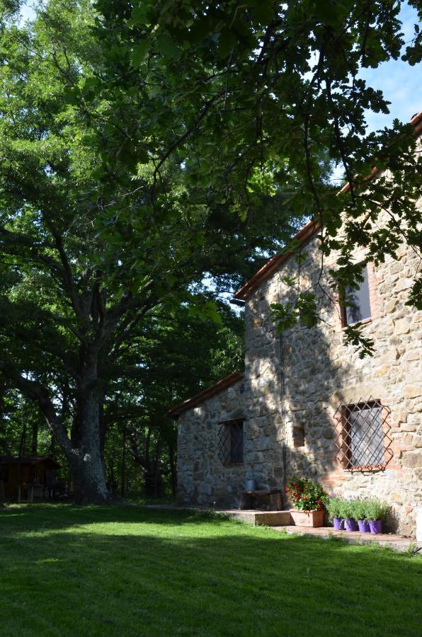 Il Venaio Bed & Breakfast Massa Marittima Dış mekan fotoğraf