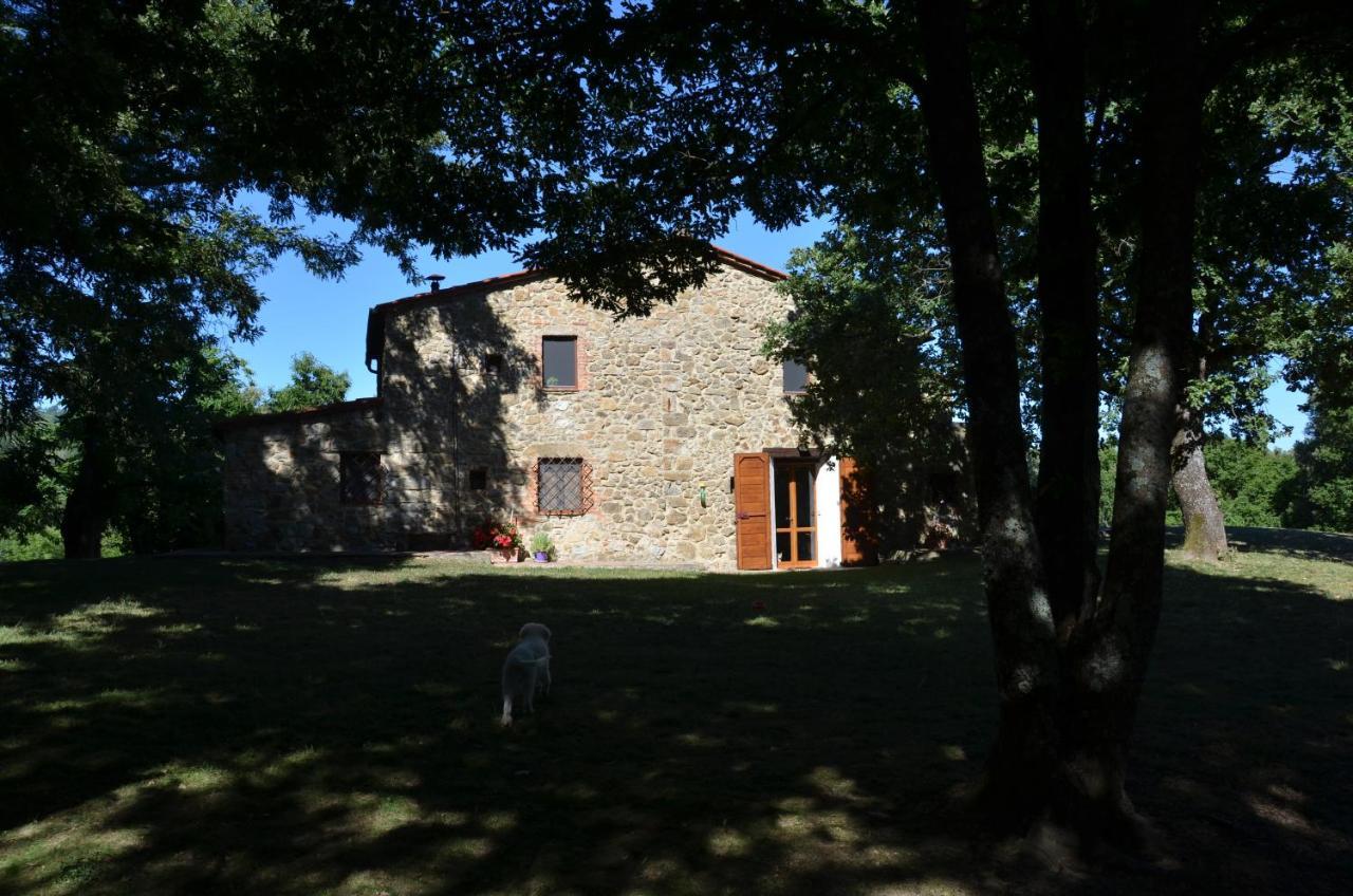 Il Venaio Bed & Breakfast Massa Marittima Dış mekan fotoğraf