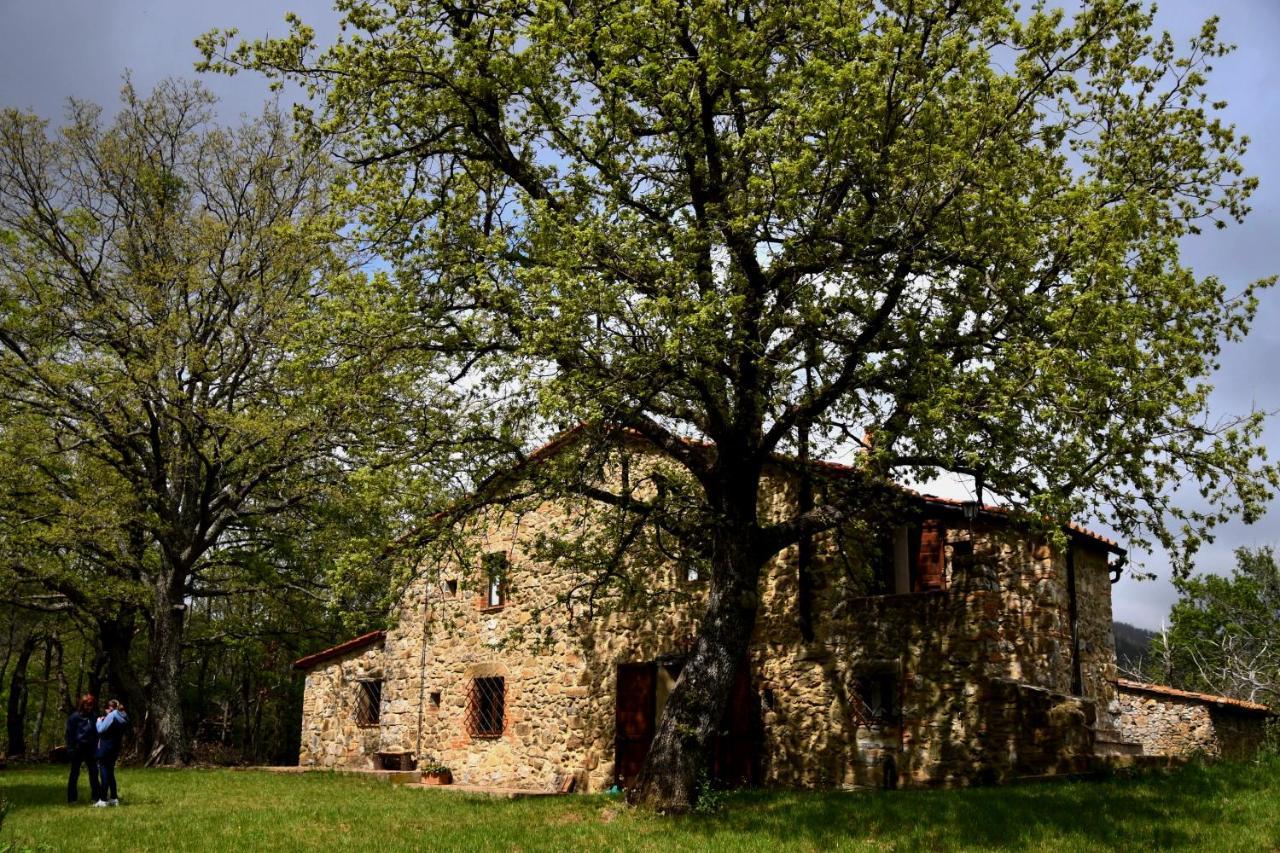 Il Venaio Bed & Breakfast Massa Marittima Dış mekan fotoğraf