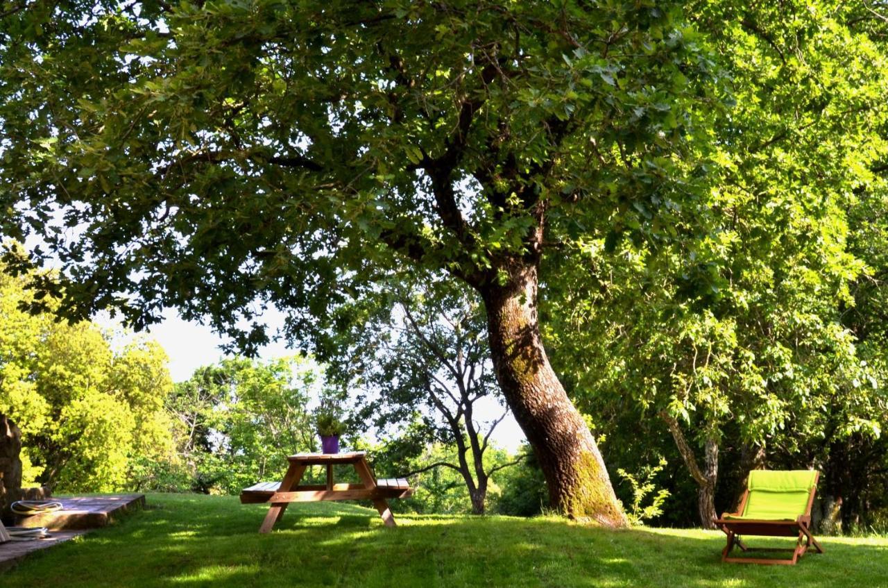 Il Venaio Bed & Breakfast Massa Marittima Dış mekan fotoğraf