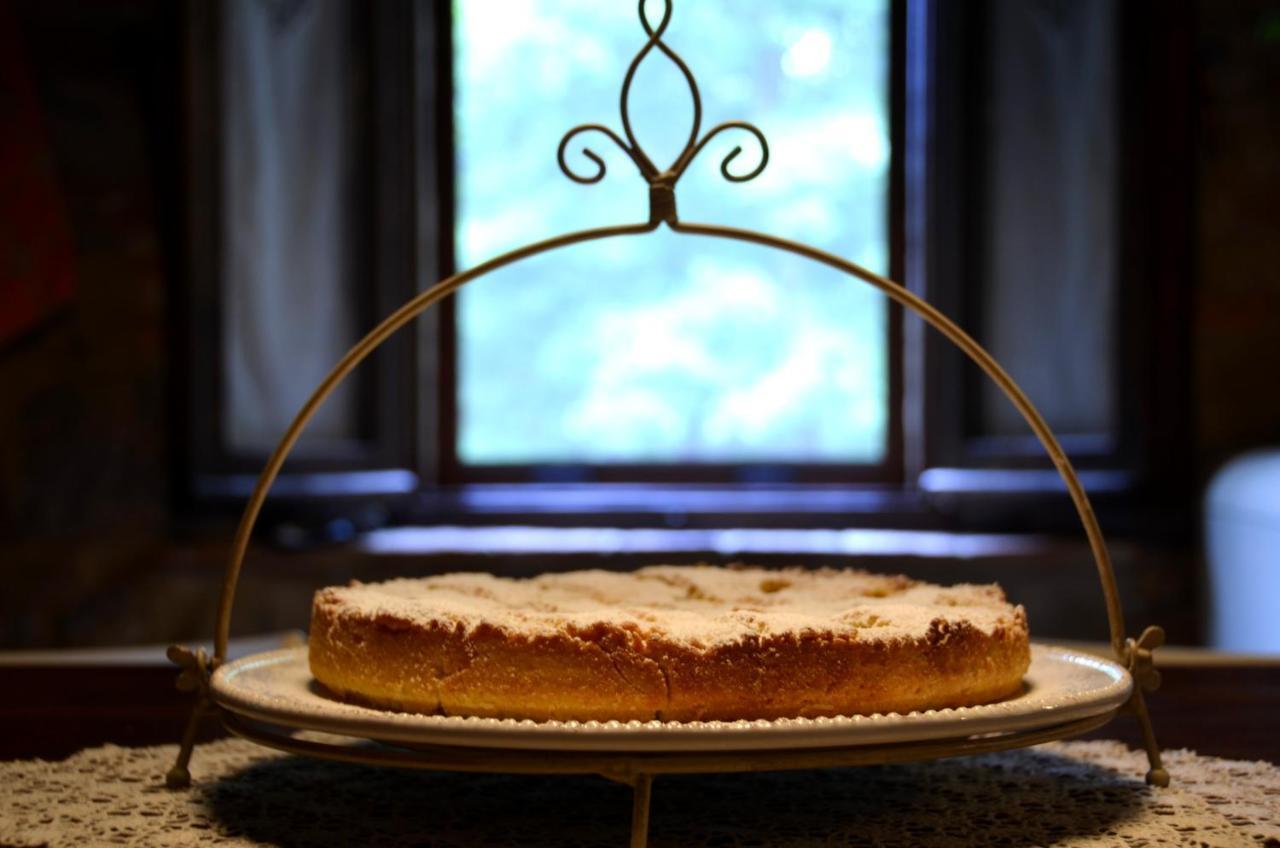 Il Venaio Bed & Breakfast Massa Marittima Dış mekan fotoğraf
