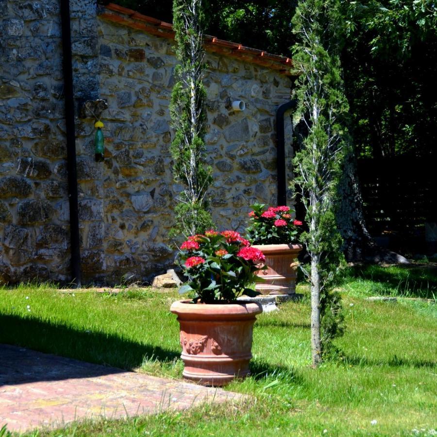 Il Venaio Bed & Breakfast Massa Marittima Dış mekan fotoğraf