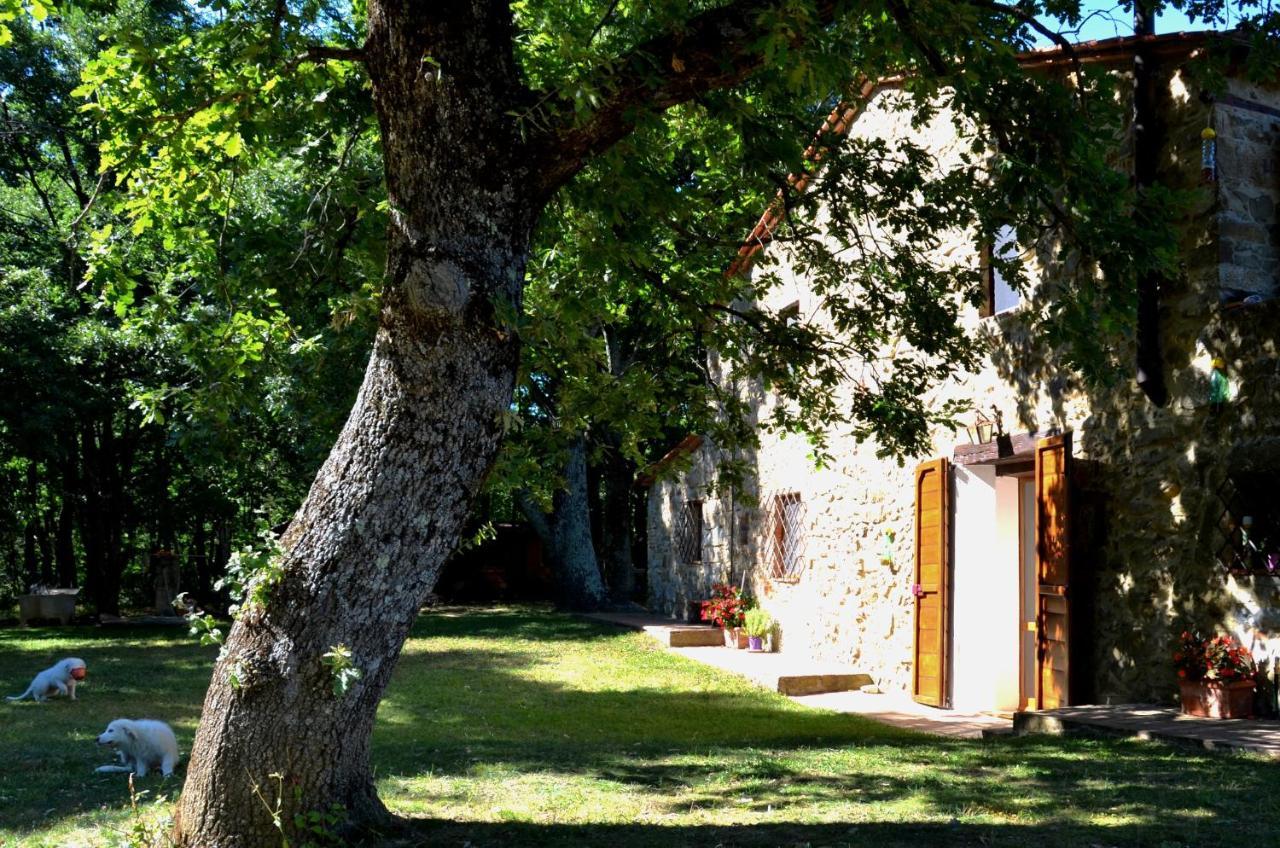 Il Venaio Bed & Breakfast Massa Marittima Dış mekan fotoğraf