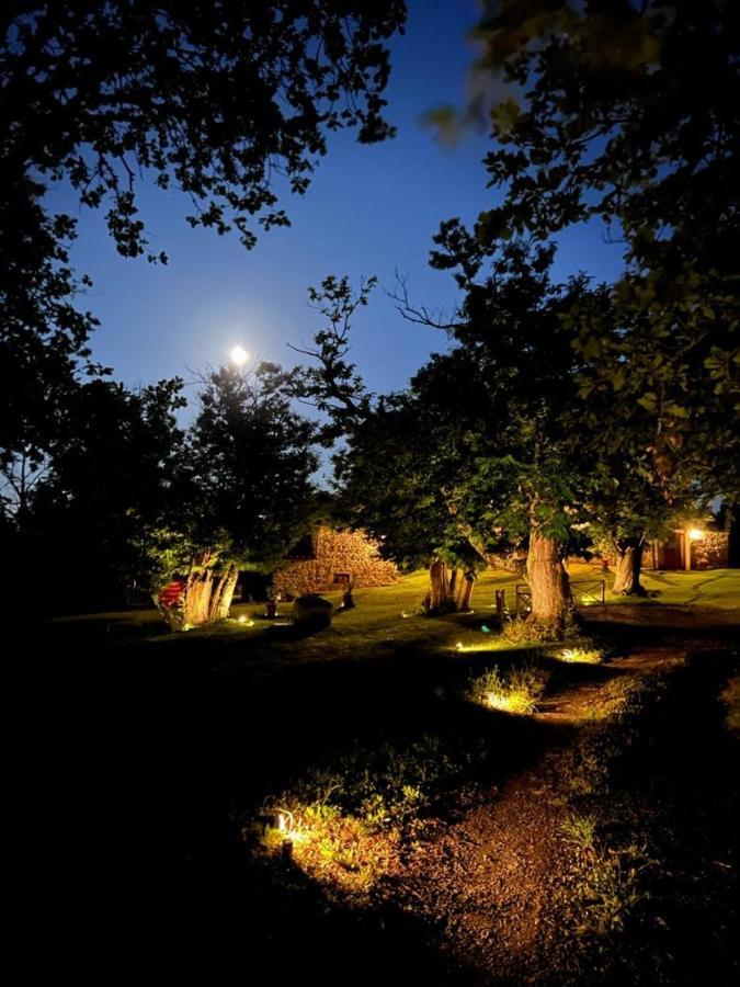 Il Venaio Bed & Breakfast Massa Marittima Dış mekan fotoğraf