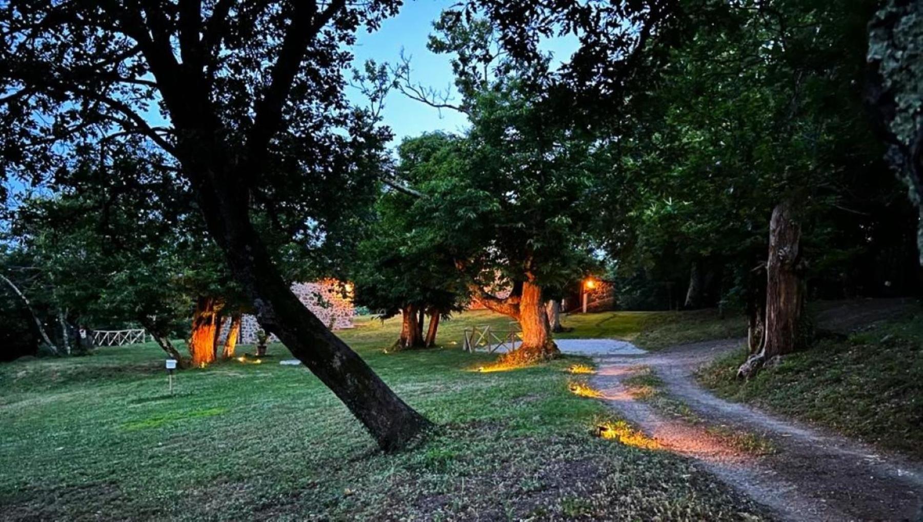 Il Venaio Bed & Breakfast Massa Marittima Dış mekan fotoğraf