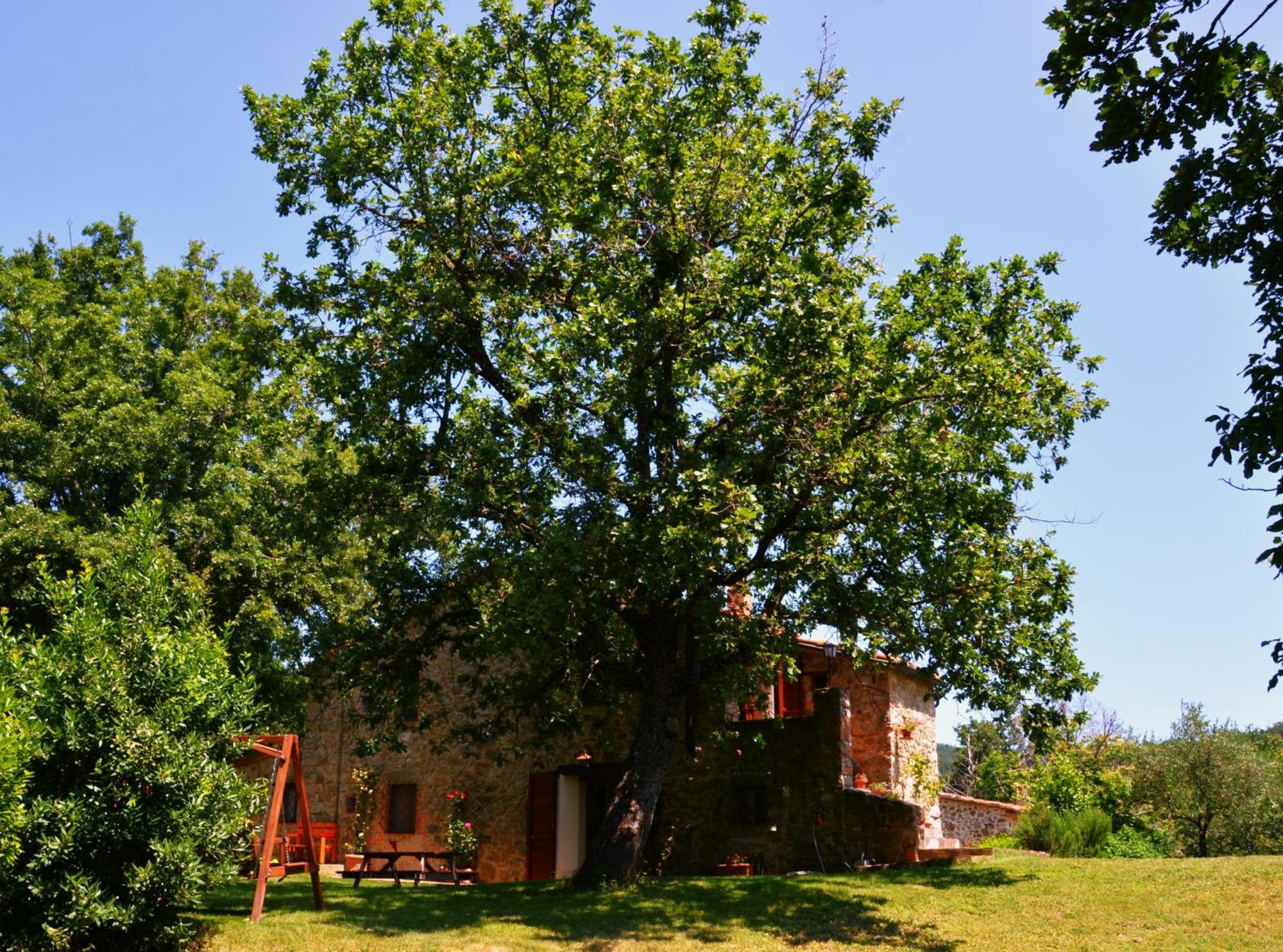 Il Venaio Bed & Breakfast Massa Marittima Dış mekan fotoğraf